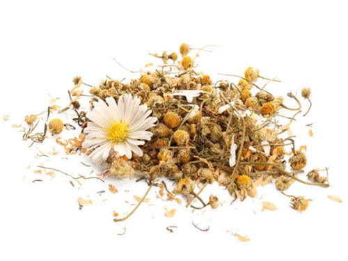 store fresh chamomile by drying it