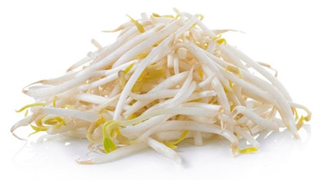 freshly grown bean sprouts