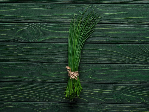 Bunch of chives
