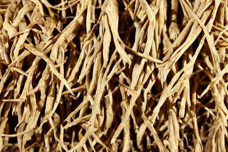 A close up of a pile of dried Chinese herbs.