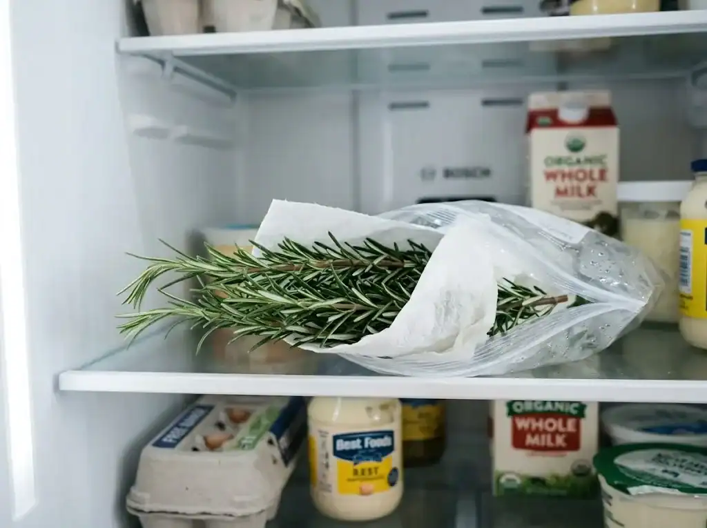 Rosemary sprigs wrapped in a damp paper towel inside an open refrigerator