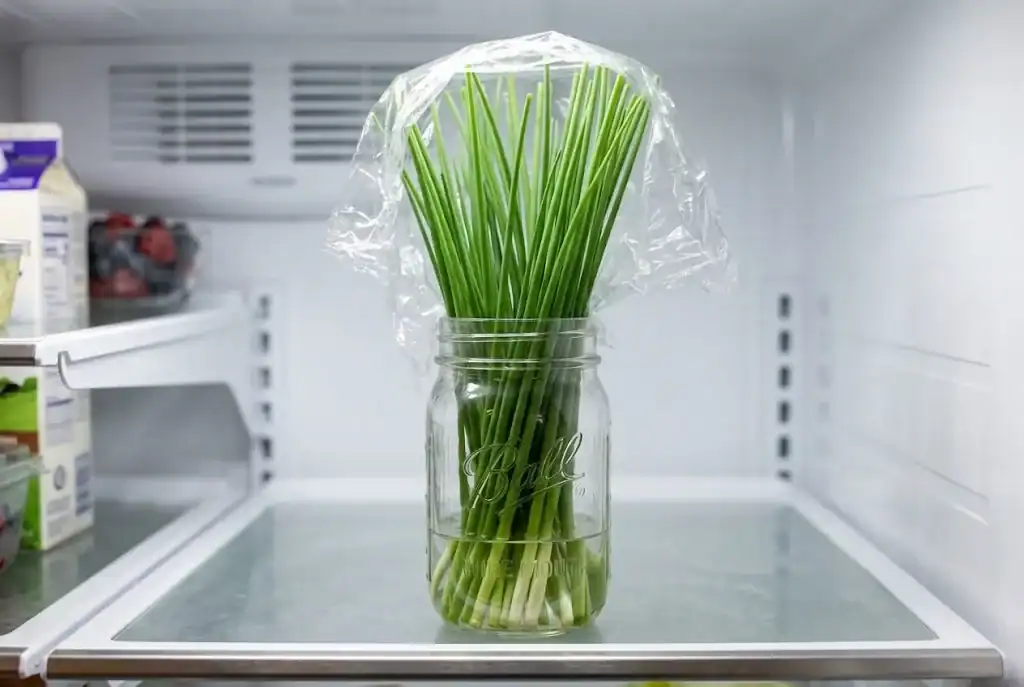 Fresh bunch of upright chives standing in a glass mason jar with water on a refrigerator shelf