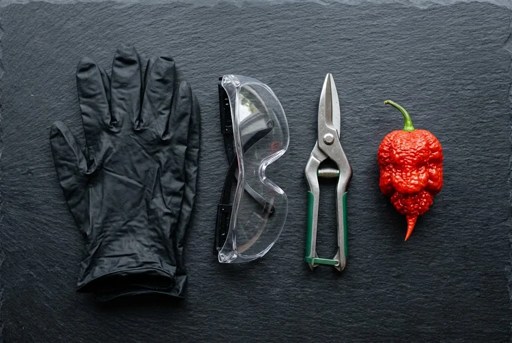 Kitchen safety gear including heavy black nitrile gloves, eye protection goggles, and garden snips next to a ripe Trinidad Scorpion pod on slate